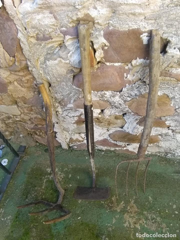 Antig&uuml;edades: Azada antigua - Foto 11