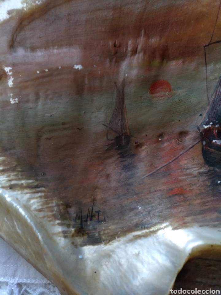 Antig&uuml;edades: CONCHA DE N&Aacute;CAR FIRMADA - Foto 3