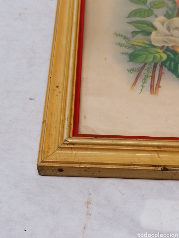 Antig&uuml;edades: L&aacute;mina flores - Foto 3