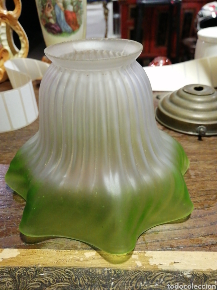 Antig&uuml;edades: Tulipa cristal glas&eacute; - Foto 1