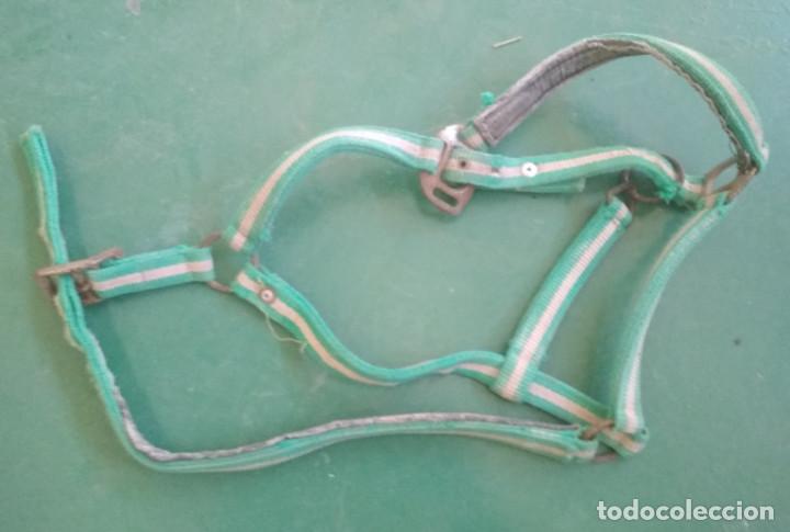 Antig&uuml;edades: CABEZAL PARA CABALLO ETC. VERDE Y BLANCO - Foto 1