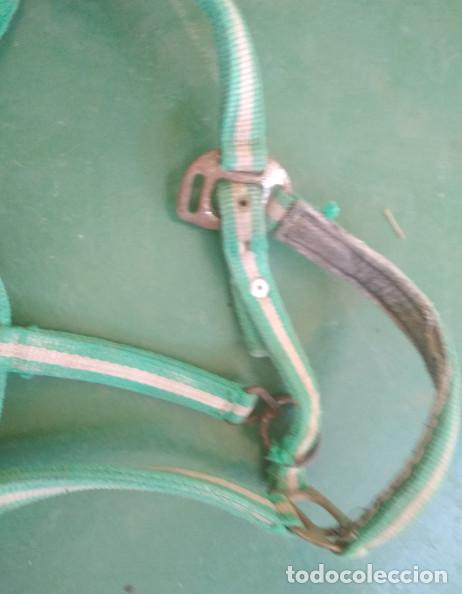 Antig&uuml;edades: CABEZAL PARA CABALLO ETC. VERDE Y BLANCO - Foto 2