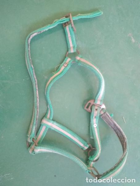 Antig&uuml;edades: CABEZAL PARA CABALLO ETC. VERDE Y BLANCO - Foto 3