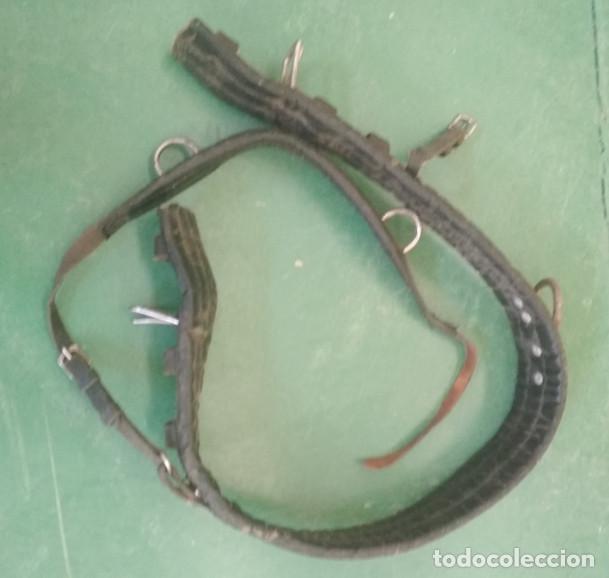 Antig&uuml;edades: CINCHA GRUESA PARA CABALLO - Foto 1