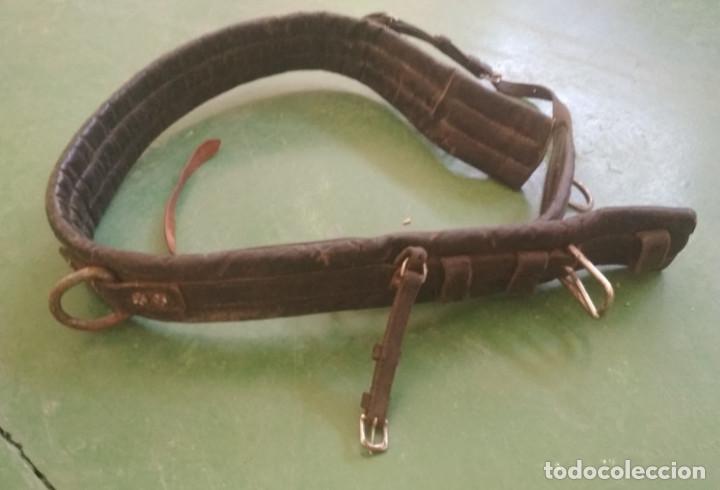 Antig&uuml;edades: CINCHA GRUESA PARA CABALLO - Foto 3