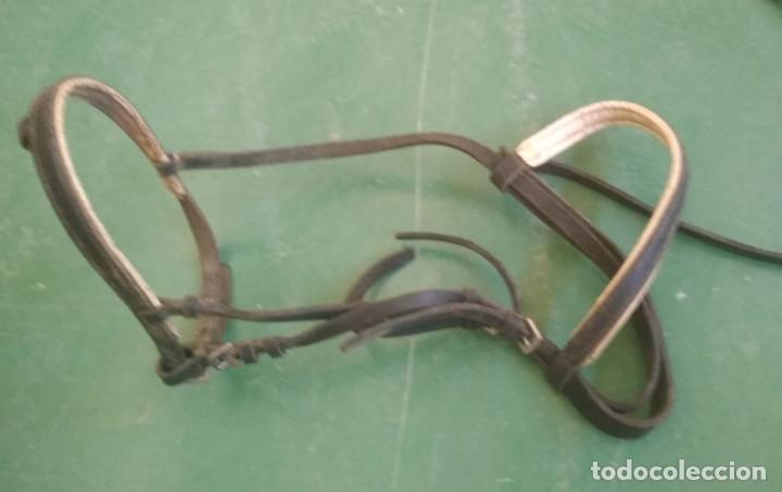 Antig&uuml;edades: CABEZAL PARA CABALLO, CABEZADA - Foto 1