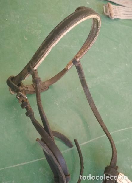 Antig&uuml;edades: CABEZAL PARA CABALLO, CABEZADA - Foto 2