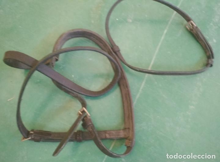 Antig&uuml;edades: CABEZAL PARA CABALLOS, CABEZADA - Foto 2