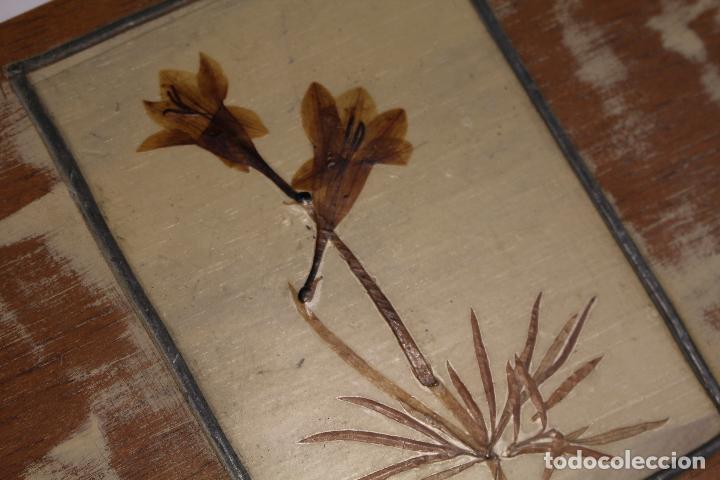Antig&uuml;edades: caja de madera con flores secas - Foto 2