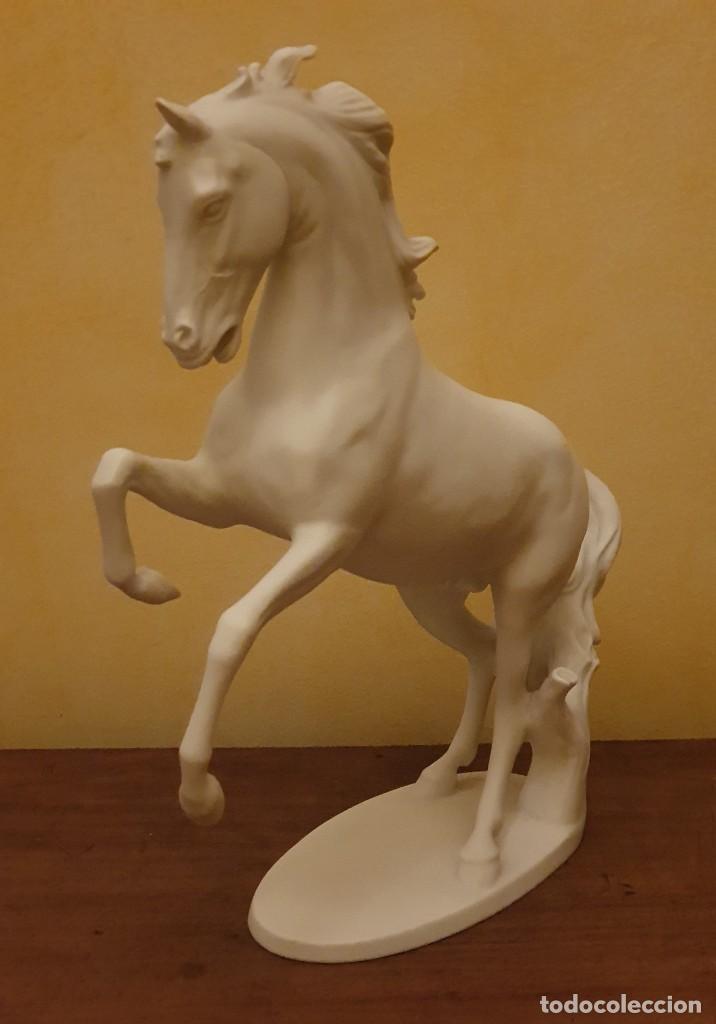 Antig&uuml;edades: GERHARD BOCHMANN - CABALLO DE BISCUIT - KAISER, GERMANY. - Foto 1