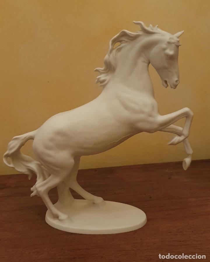 Antig&uuml;edades: GERHARD BOCHMANN - CABALLO DE BISCUIT - KAISER, GERMANY. - Foto 2