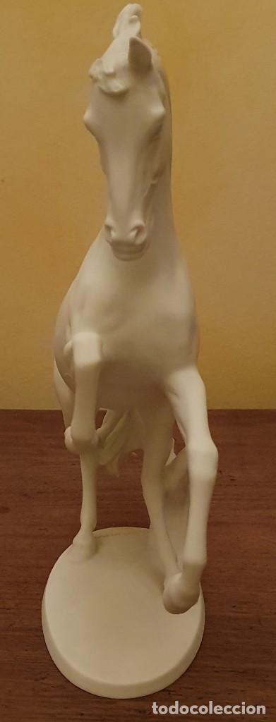 Antig&uuml;edades: GERHARD BOCHMANN - CABALLO DE BISCUIT - KAISER, GERMANY. - Foto 3