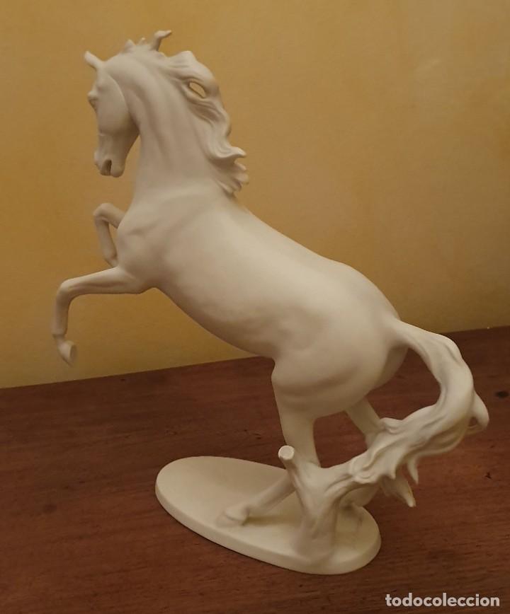 Antig&uuml;edades: GERHARD BOCHMANN - CABALLO DE BISCUIT - KAISER, GERMANY. - Foto 4