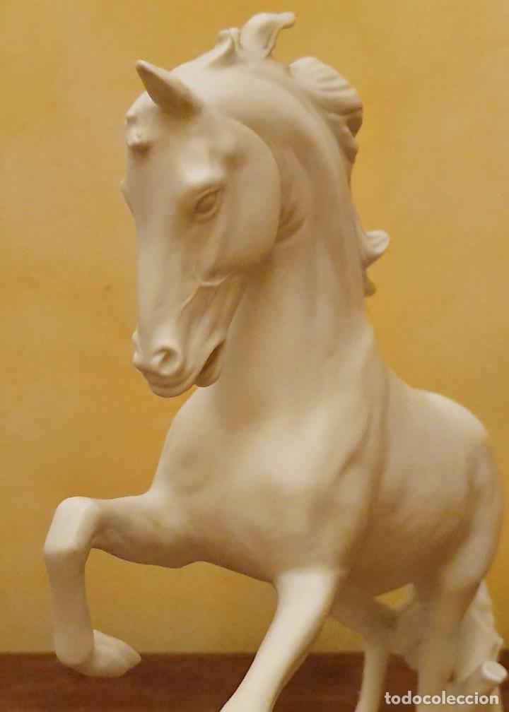 Antig&uuml;edades: GERHARD BOCHMANN - CABALLO DE BISCUIT - KAISER, GERMANY. - Foto 5