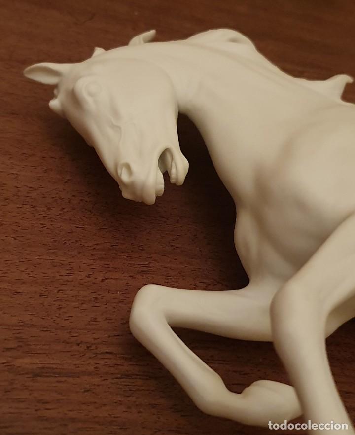 Antig&uuml;edades: GERHARD BOCHMANN - CABALLO DE BISCUIT - KAISER, GERMANY. - Foto 11