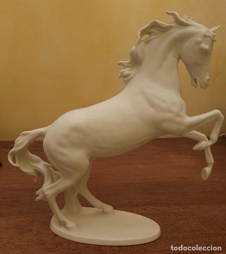 Antig&uuml;edades: GERHARD BOCHMANN - CABALLO DE BISCUIT - KAISER, GERMANY. - Foto 12