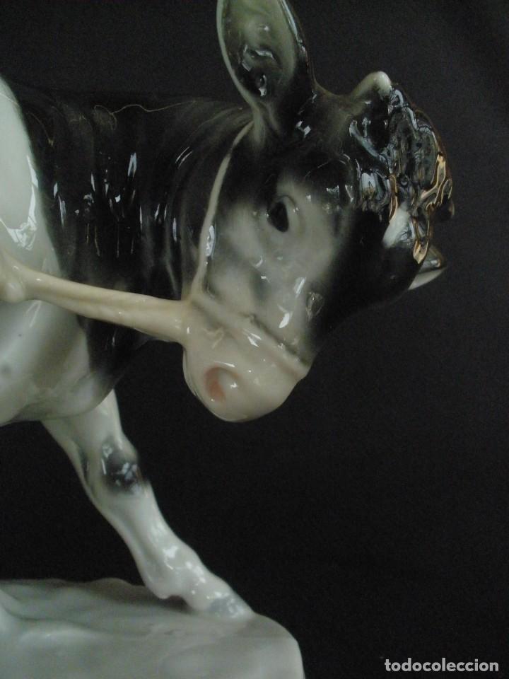Antig&uuml;edades: porcelana antigua - Foto 6