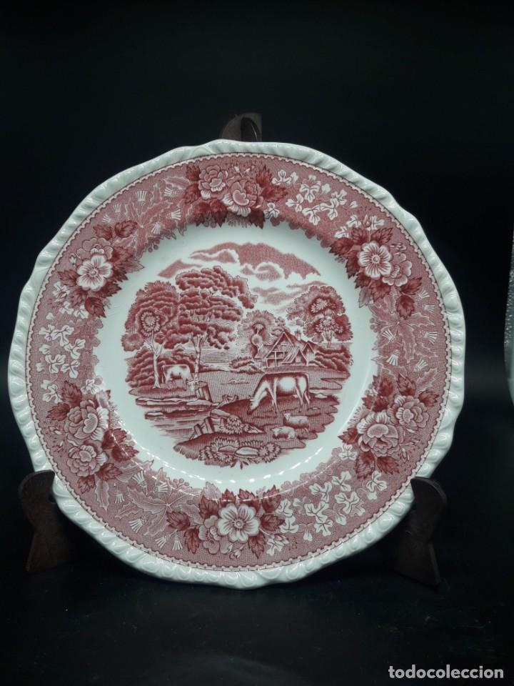 Antig&uuml;edades: Plato porcelana - Foto 1