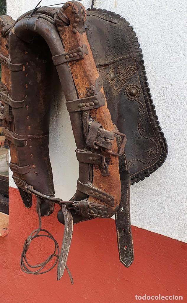 Antig&uuml;edades: COLLERA COLLARON DE TIRO - Foto 3