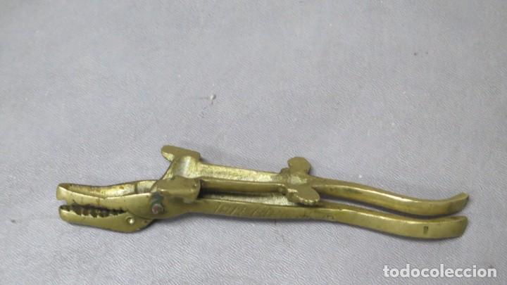 Antig&uuml;edades: PARTEPI&Ntilde;ONES COCODRILO. BRONCE - Foto 2