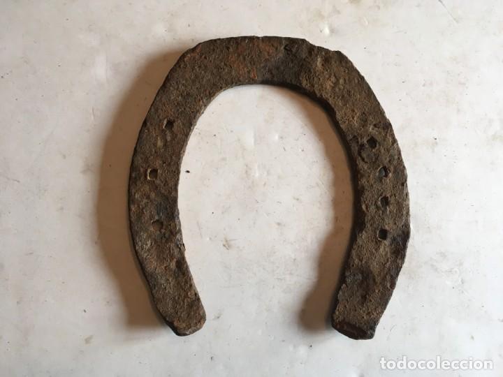 Una Herradura De Hierro De 1.5 Kg Inicialmente A 600