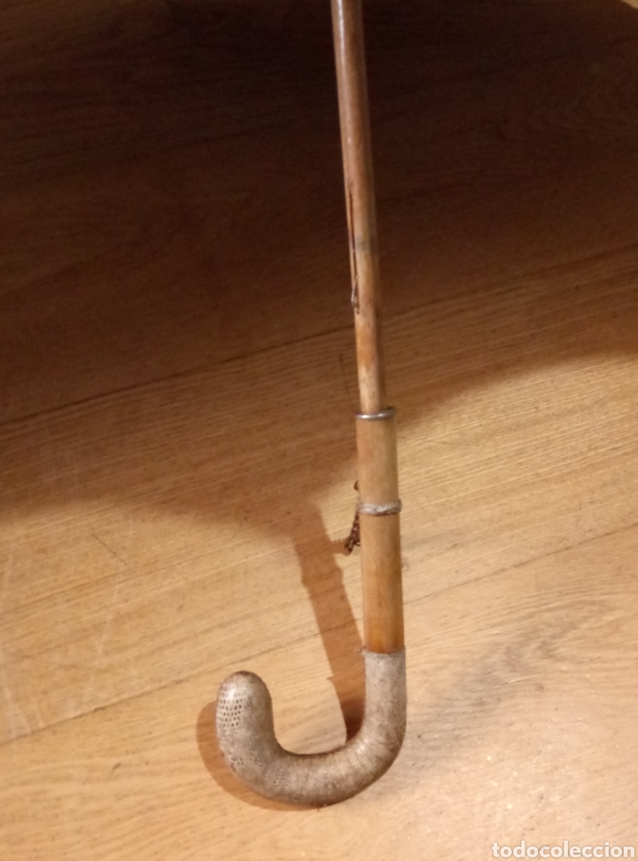 Antig&uuml;edades: Antiguo paraguas mango de madera y piel de serpiente - Foto 5