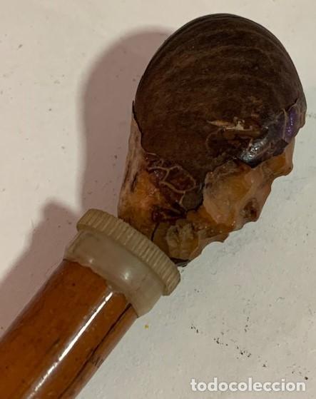 Antig&uuml;edades: Bast&oacute;n de malaca con pu&ntilde;o de semilla de tagua. - Foto 3
