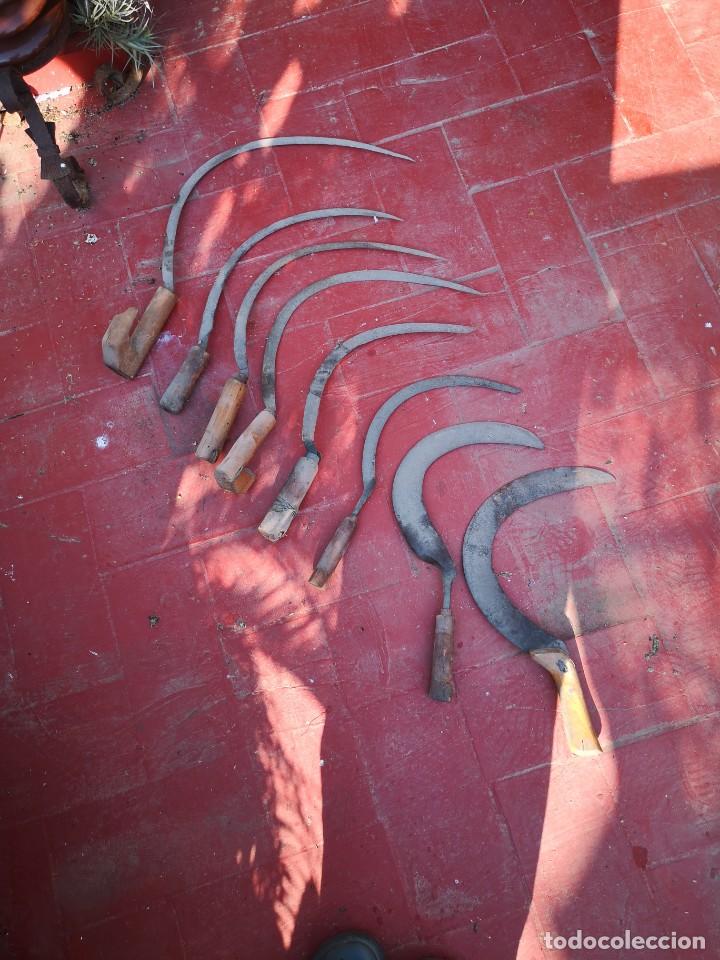 Antig&uuml;edades: Lote 8 hozes de campo - Foto 1