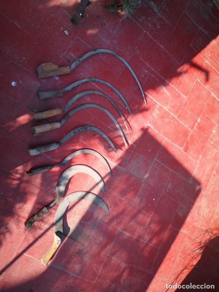 Antig&uuml;edades: Lote 8 hozes de campo - Foto 2
