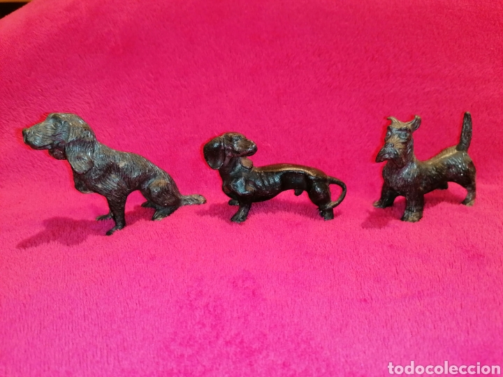 Antig&uuml;edades: 3 PERROS DE PLOMO ANTIGUOS - Foto 11