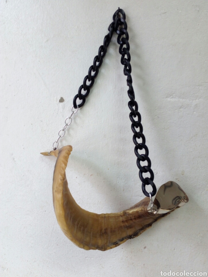 Antig&uuml;edades: Cuerno carnero decoracion - Foto 6