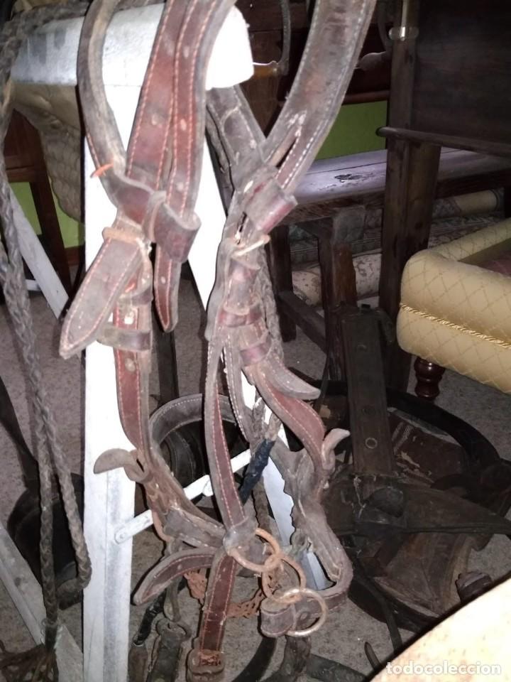 Antig&uuml;edades: Silla de montar con bocado completa - Foto 4