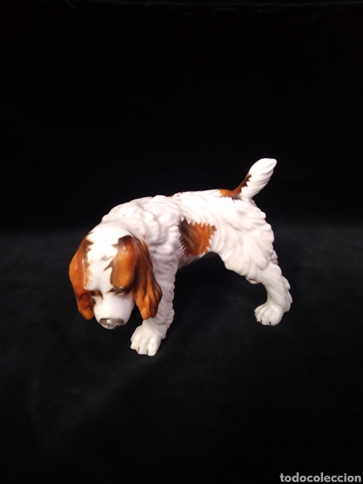 Antig&uuml;edades: Perrito de porcelana - Foto 1