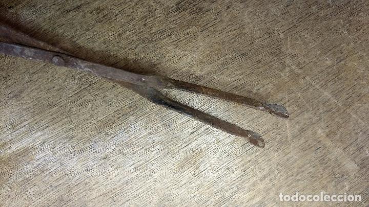 Antig&uuml;edades: Pinzas de forja para cocina - Foto 6