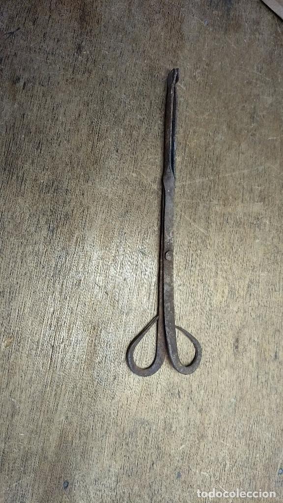 Antig&uuml;edades: Pinzas de forja para cocina - Foto 8