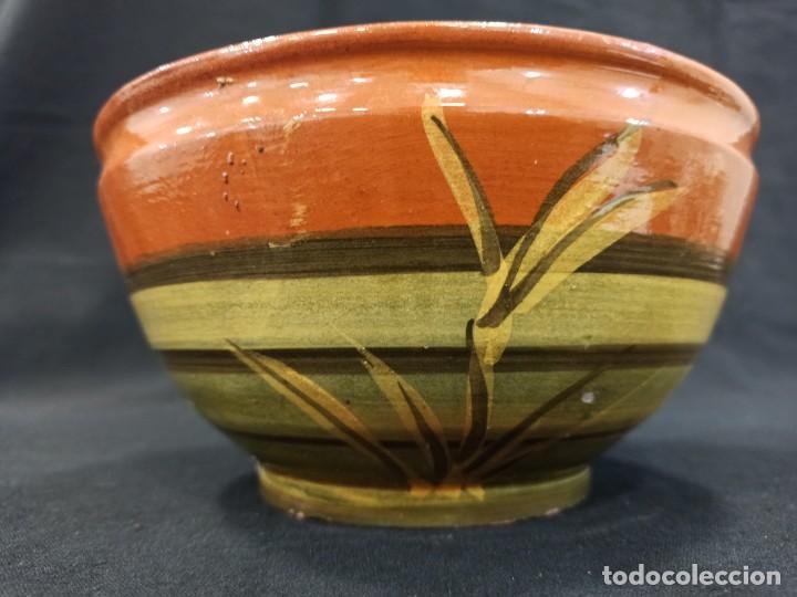 Antig&uuml;edades: Cuenco de barro vidriado con juncos. C9 - Foto 1