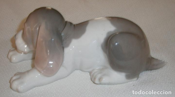 Antig&uuml;edades: perro de porcelana de Lladro - Foto 1