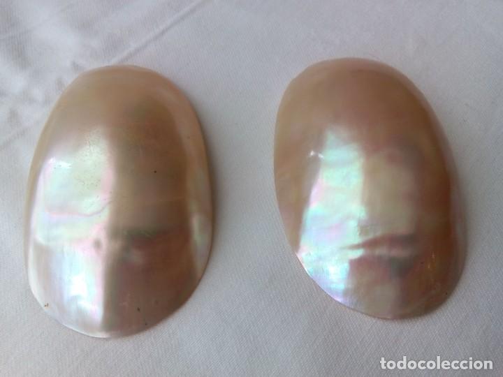 Antig&uuml;edades: PAREJA DE CONCHAS NACAR - Foto 3
