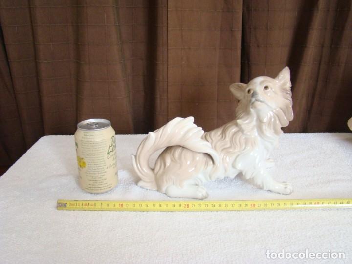 Antig&uuml;edades: Figura de LLADRO perro Papillon - Foto 1