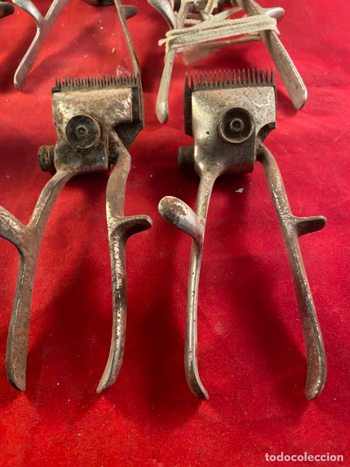 Antig&uuml;edades: Lote de 6 cortapelos - Foto 2