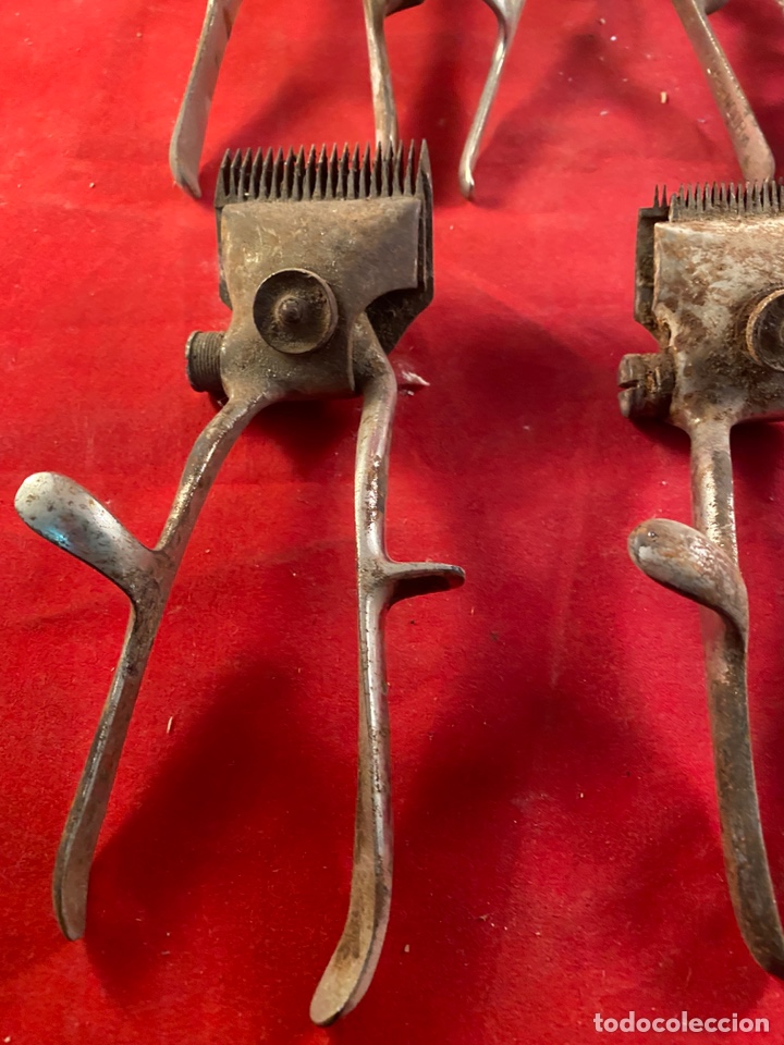 Antig&uuml;edades: Lote de 6 cortapelos - Foto 3