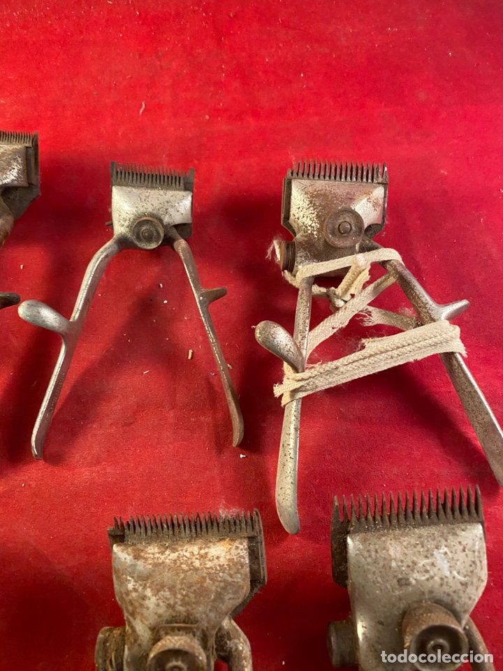 Antig&uuml;edades: Lote de 6 cortapelos - Foto 5