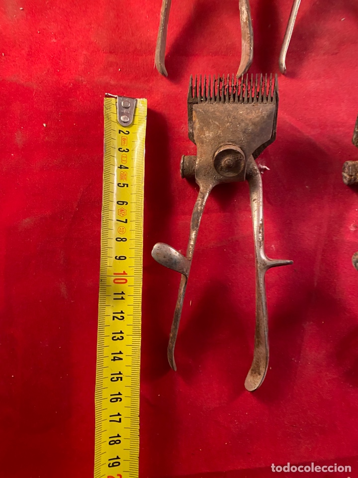 Antig&uuml;edades: Lote de 6 cortapelos - Foto 6