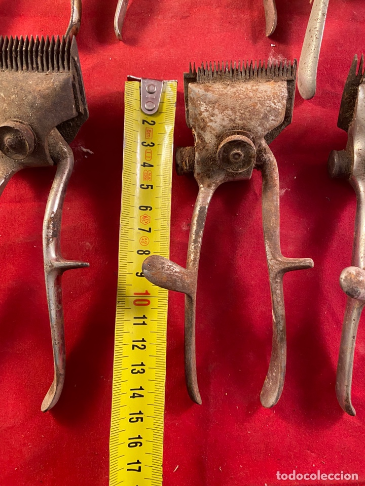 Antig&uuml;edades: Lote de 6 cortapelos - Foto 7
