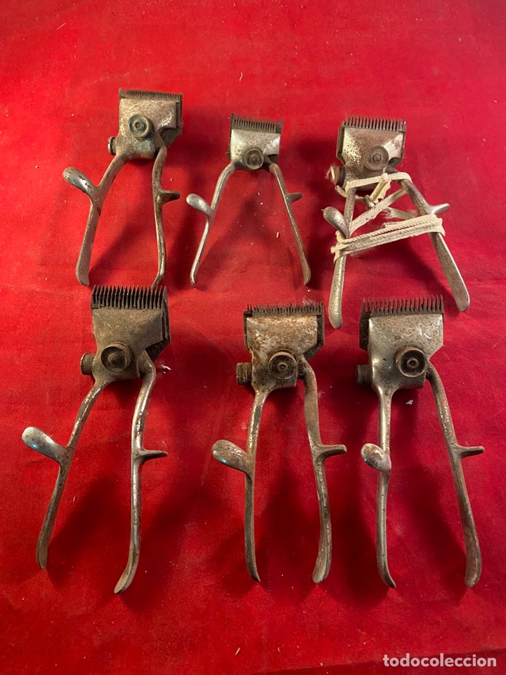 Antig&uuml;edades: Lote de 6 cortapelos - Foto 1