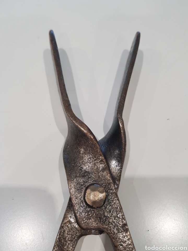 Antig&uuml;edades: Magn&iacute;fica pinza de hierro forjado - Foto 4