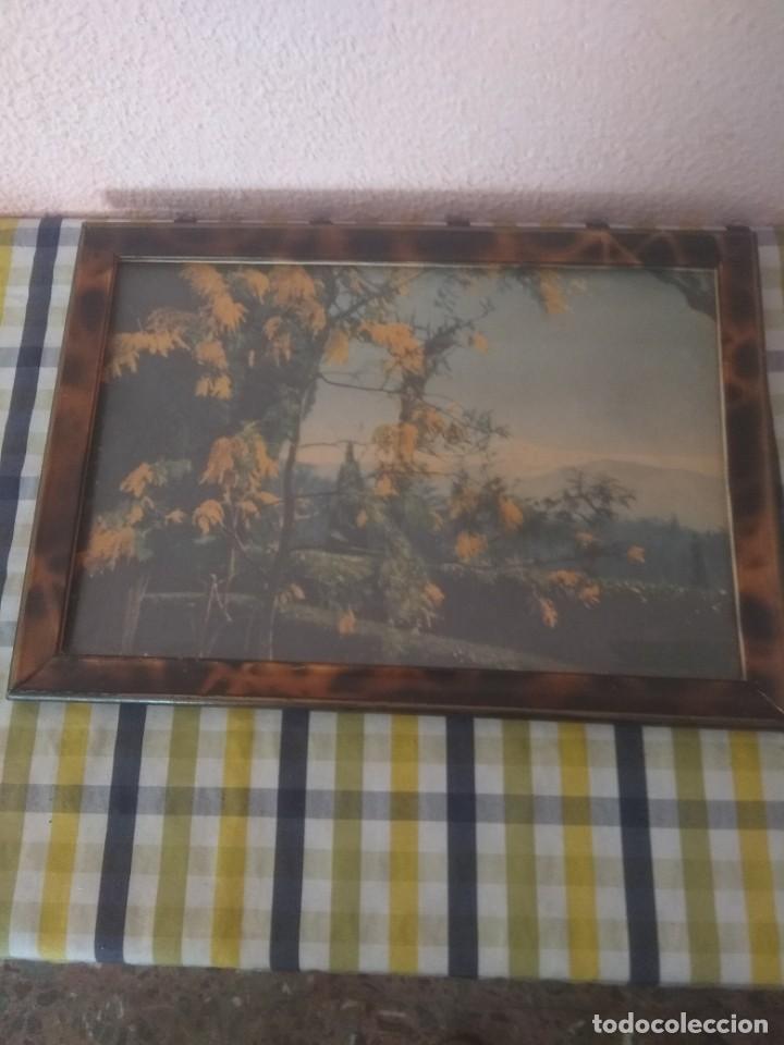 Antig&uuml;edades: Marco - Foto 1