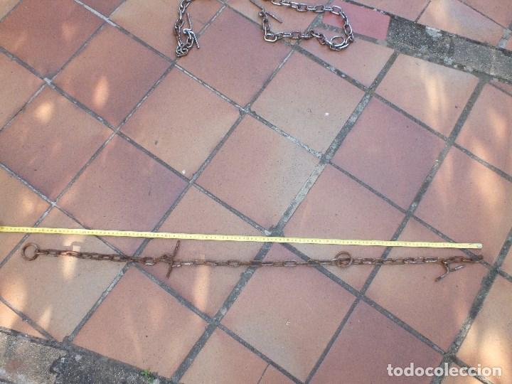 Antig&uuml;edades: CADENA HIERRO PARA PERRO ganado - Foto 2