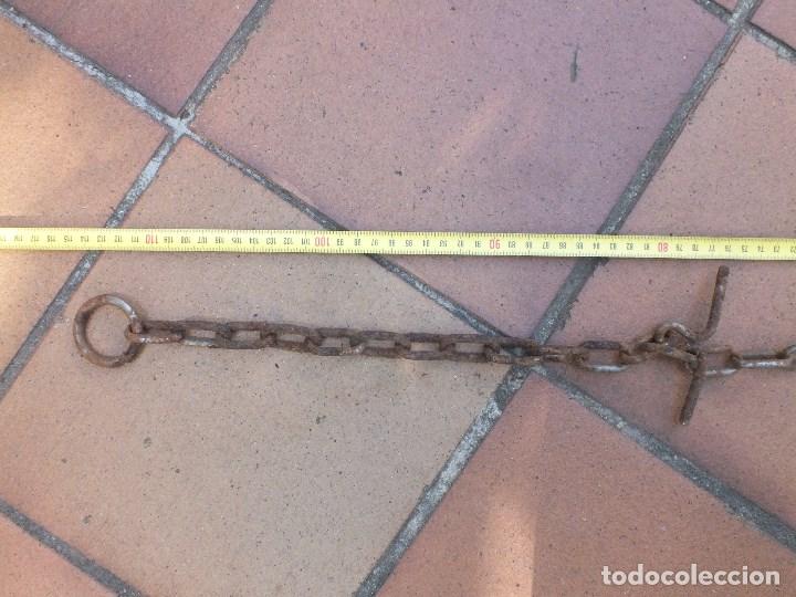 Antig&uuml;edades: CADENA HIERRO PARA PERRO ganado - Foto 3