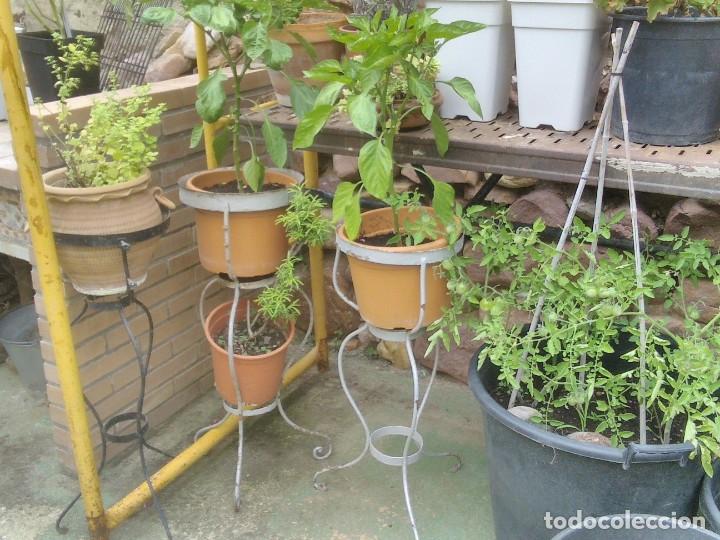 Antig&uuml;edades: Soporte antiguo palanganero. - Foto 9